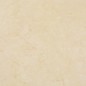 vidaXL Tarimas autoadhesivas 20 unidades PVC 1,86 m² beige vidaXL Tarimas autoadhesivas 20 unidades PVC 1,86 m² beige