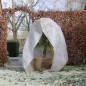 Nature Cubierta plantas invierno con cremallera blanco 2x1,5x1,5 m Nature Cubierta plantas invierno con cremallera blanco 2x1,5x1,5 m