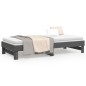 vidaXL Sofá cama extraíble madera maciza de pino gris 2x(90x200) cm vidaXL Sofá cama extraíble madera maciza de pino gris 2x(90x200) cm