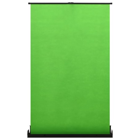 vidaXL Fondo para fotografía verde 95" 4:3