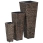 vidaXL Conjunto de arriates 3 piezas jacinto de agua marrón oscuro vidaXL Conjunto de arriates 3 piezas jacinto de agua marrón oscuro
