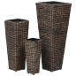 vidaXL Conjunto de arriates 3 piezas jacinto de agua marrón oscuro vidaXL Conjunto de arriates 3 piezas jacinto de agua marrón oscuro