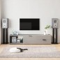 vidaXL Soportes de altavoces 2 uds vidrio templado negro 4 pilares vidaXL Soportes de altavoces 2 uds vidrio templado negro 4 pilares