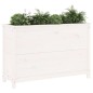 vidaXL Arriate elevado de jardín madera de pino blanco 119,5x40x78 cm vidaXL Arriate elevado de jardín madera de pino blanco 119,5x40x78 cm