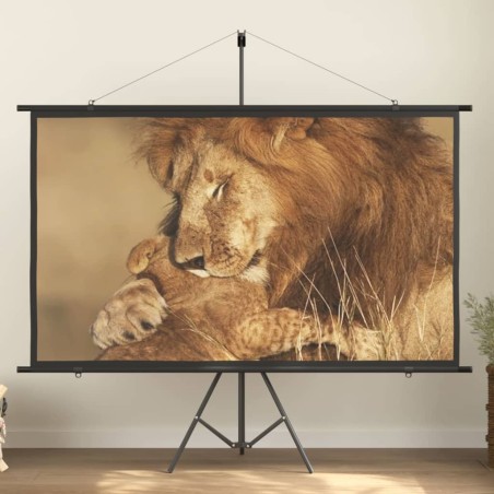 vidaXL Pantalla de proyección 90" 16:9