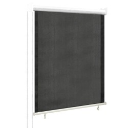 vidaXL Persiana enrollable de exterior 60x140 cm gris antracita