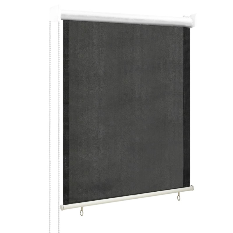 vidaXL Persiana enrollable de exterior 60x140 cm gris antracita
