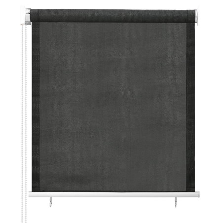 vidaXL Persiana enrollable de exterior 60x140 cm gris antracita