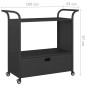 vidaXL Carrito de bar con cajón ratán sintético negro 100x45x97 cm vidaXL Carrito de bar con cajón ratán sintético negro 100x45x97 cm