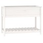 vidaXL Jardinera con estante madera maciza pino blanca 111,5x54x81 cm