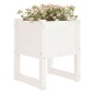 vidaXL Jardinera 2 unidades madera maciza de pino blanco 40x40x52,5 cm vidaXL Jardinera 2 unidades madera maciza de pino blanco 40x40x52,5 cm