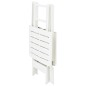 vidaXL Mesa de jardín plegable de plástico blanco 79x72x70 cm vidaXL Mesa de jardín plegable de plástico blanco 79x72x70 cm