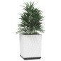 vidaXL Jardineras 2 unidades polipropileno blanco 30x30x37 cm vidaXL Jardineras 2 unidades polipropileno blanco 30x30x37 cm