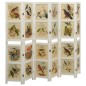 vidaXL Biombo de 6 paneles madera maciza de paulownia blanco 214x165cm vidaXL Biombo de 6 paneles madera maciza de paulownia blanco 214x165cm