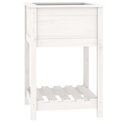 vidaXL Jardinera con estante madera maciza de pino blanco 54x54x81 cm