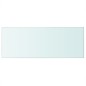 vidaXL Panel de estante vidrio claro 60x25 cm