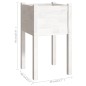 vidaXL Jardinera de madera maciza de pino blanco 40x40x70 cm vidaXL Jardinera de madera maciza de pino blanco 40x40x70 cm