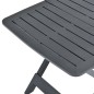 vidaXL Mesa de jardín plegable de plástico gris antracita 79x72x70 cm vidaXL Mesa de jardín plegable de plástico gris antracita 79x72x70 cm