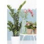 Emerald Planta zamioculca artificial 110 cm verde 11.662C Emerald Planta zamioculca artificial 110 cm verde 11.662C