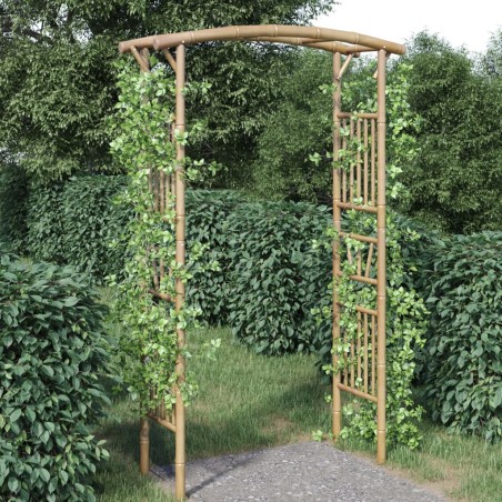 vidaXL Arco para rosas de bambú 118x40x187 cm