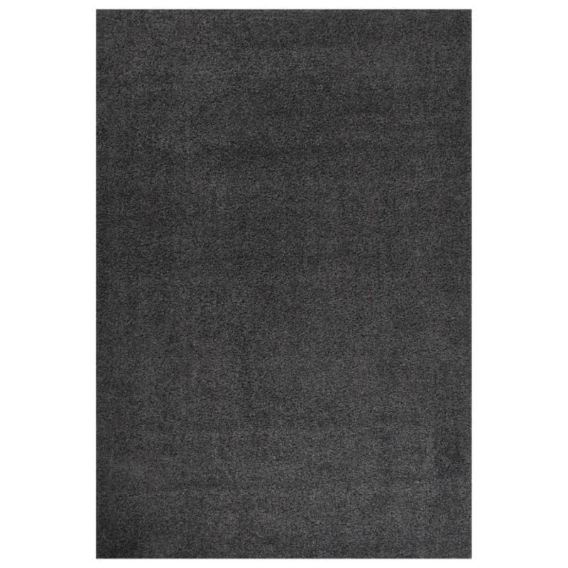 vidaXL Alfombra de pelo largo gris antracita 160x230 cm vidaXL Alfombra de pelo largo gris antracita 160x230 cm