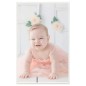 vidaXL Marcos de foto collage de mesa 5 uds plateado MDF 10x15cm vidaXL Marcos de foto collage de mesa 5 uds plateado MDF 10x15cm
