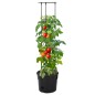 vidaXL Macetero para tomates polipropileno antracita Ø29,5x115 cm vidaXL Macetero para tomates polipropileno antracita Ø29,5x115 cm