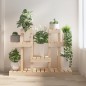 vidaXL Soporte para plantas madera maciza de pino 104,5x25x77,5 cm vidaXL Soporte para plantas madera maciza de pino 104,5x25x77,5 cm