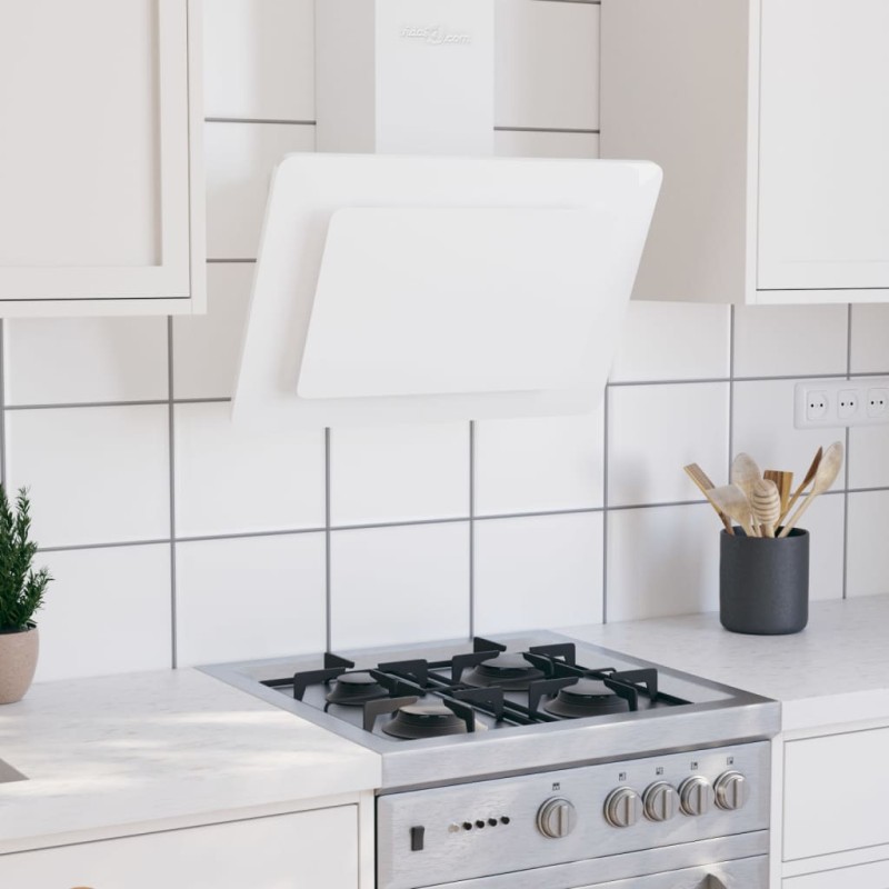 vidaXL Campana extractora acero inoxidable vidrio templado blanco 60cm vidaXL Campana extractora acero inoxidable vidrio templado blanco 60cm