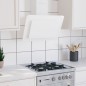 vidaXL Campana extractora acero inoxidable vidrio templado blanco 60cm vidaXL Campana extractora acero inoxidable vidrio templado blanco 60cm
