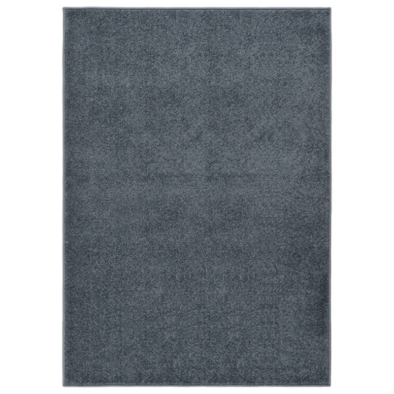 vidaXL Alfombra de pelo corto gris antracita 240x340 cm vidaXL Alfombra de pelo corto gris antracita 240x340 cm