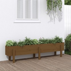 vidaXL Arriate elevado de jardín madera pino marrón miel 160x30x38 cm
