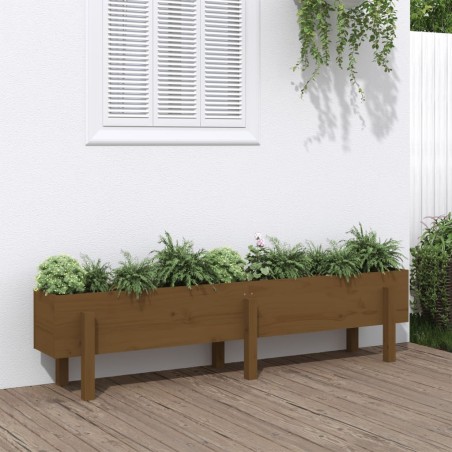 vidaXL Arriate elevado de jardín madera pino marrón miel 160x30x38 cm