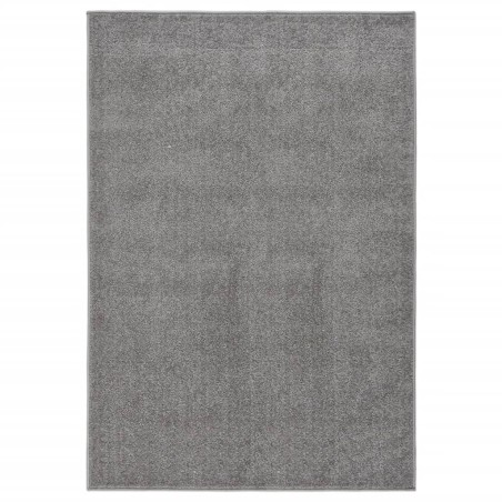 vidaXL Alfombra de pelo corto gris 200x290 cm
