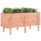vidaXL Arriate elevado jardín madera maciza abeto Douglas 121x50x57 cm