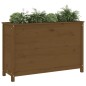 vidaXL Arriate elevado de jardín madera pino marrón miel 119,5x40x78cm vidaXL Arriate elevado de jardín madera pino marrón miel 119,5x40x78cm