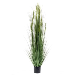 Emerald Planta de cereal artificial 150 cm