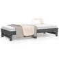 vidaXL Sofá cama extraíble madera maciza de pino gris 2x(100x200) cm vidaXL Sofá cama extraíble madera maciza de pino gris 2x(100x200) cm