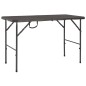 vidaXL Mesa de jardín plegable HDPE marrón aspecto ratán 120x60x74 cm vidaXL Mesa de jardín plegable HDPE marrón aspecto ratán 120x60x74 cm