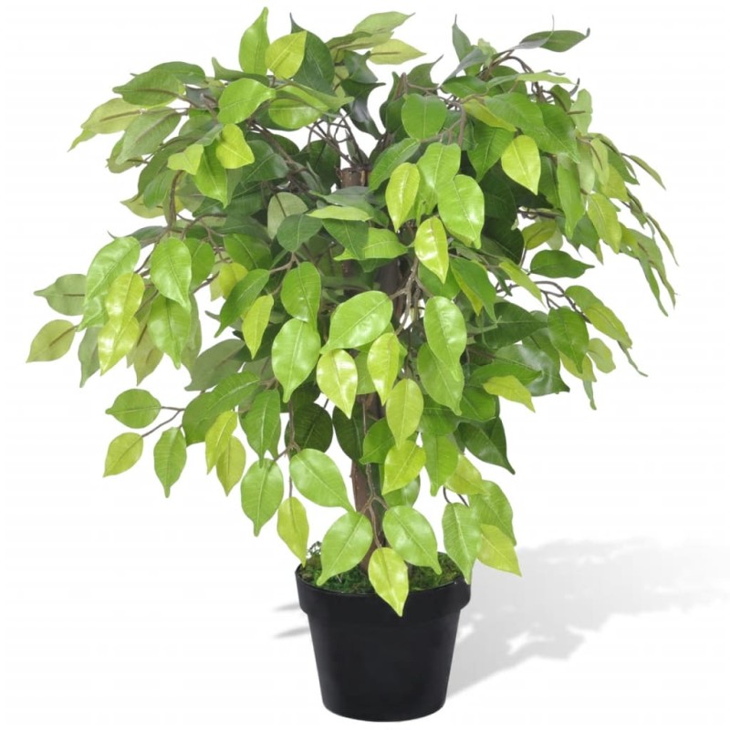 Planta enana artificial de ficus en maceta, 60 cm Planta enana artificial de ficus en maceta, 60 cm