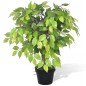 Planta enana artificial de ficus en maceta, 60 cm Planta enana artificial de ficus en maceta, 60 cm
