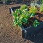 Nature Arriate elevado 19 cm 6040690 Nature Arriate elevado 19 cm 6040690