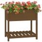 vidaXL Jardinera con estante madera maciza marrón miel 82,5x54x81 cm vidaXL Jardinera con estante madera maciza marrón miel 82,5x54x81 cm