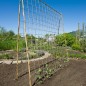 Nature Red de planta trepadora yute 1,8x5 m Nature Red de planta trepadora yute 1,8x5 m