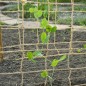 Nature Red de planta trepadora yute 1,8x5 m Nature Red de planta trepadora yute 1,8x5 m