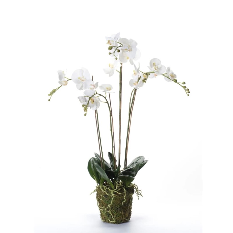 Emerald Orquídea artificial con musgo blanca 90 cm 20.355 Emerald Orquídea artificial con musgo blanca 90 cm 20.355