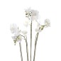 Emerald Orquídea artificial con musgo blanca 90 cm 20.355 Emerald Orquídea artificial con musgo blanca 90 cm 20.355