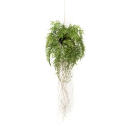  Emerald Helecho colgante artificial con raíces 35 cm
