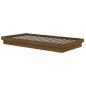 vidaXL Estructura de cama madera maciza marrón miel 100x200 cm vidaXL Estructura de cama madera maciza marrón miel 100x200 cm