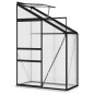 vidaXL Invernadero de aluminio gris antracita 1,44 m³ vidaXL Invernadero de aluminio gris antracita 1,44 m³